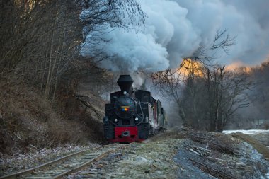 Buharlı tren raylar boyunca esiyor.