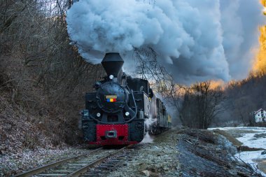 Buharlı tren raylar boyunca esiyor.