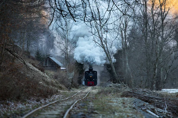 Buharlı tren raylar boyunca esiyor.