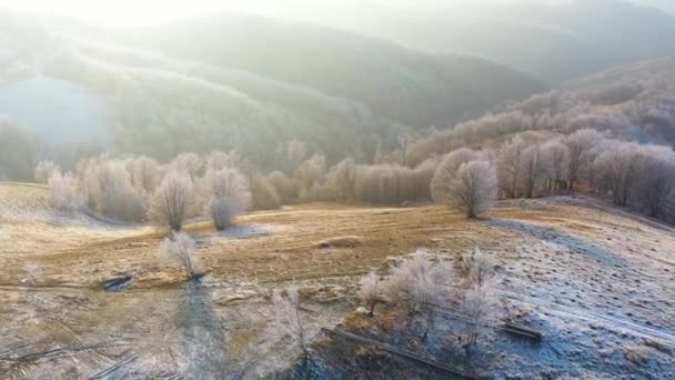 Transilvanya Donmuş Ağaçlarla Güzel Kış Manzarasının Üzerinde Uçuyor Kış Geliyor — Stok video