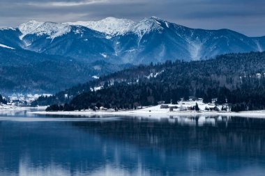 Colibita 'da donmuş göl ve kardaki çam ağaçları. Romanya erken dönem