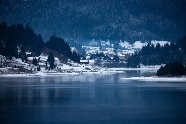 Zamarznięte jezioro i sosny w śniegu w Colibita. Rumunia wcześnie mo — Zdjęcie stockowe