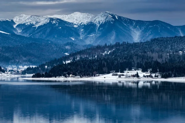 Frozen lake and pine trees in snow at Colibita. Romania early mo — Stock Photo, Image
