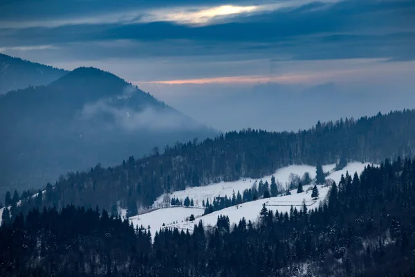 Bosque de invierno en los Cárpatos, Rumania . — Foto de Stock