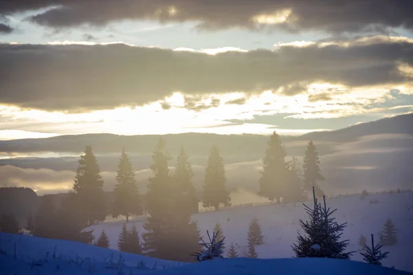 Vinterskog i dramatisk soluppgång i Karpaterna, Rumänien. — Stockfoto