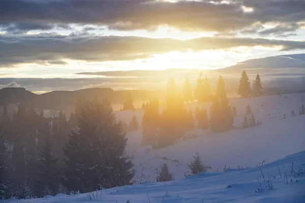 Forêt hivernale au lever du soleil spectaculaire dans les Carpates, Roumanie . — Photo