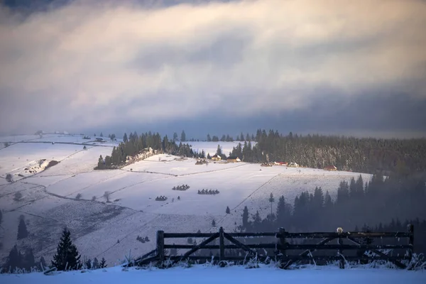 Bosque de invierno en los Cárpatos, Rumania . —  Fotos de Stock