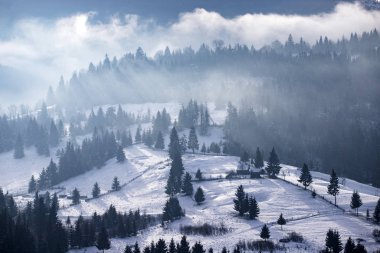 Karpatlar 'da sis ile birlikte kış ormanı dramatik gündoğumunda, R