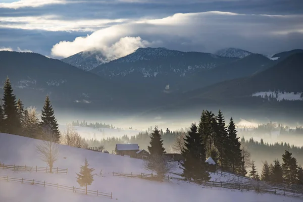 Bosque de invierno en el dramático amanecer en los Cárpatos, Rumania . — Foto de Stock
