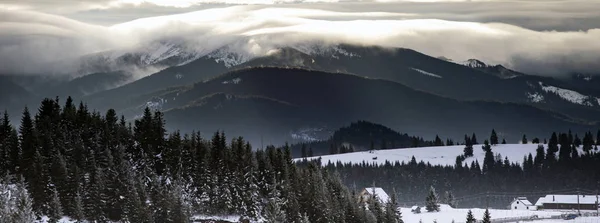 Forêt hivernale au lever du soleil spectaculaire dans les Carpates, Roumanie . — Photo