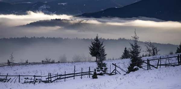 Bosque de invierno en dramático amanecer con niebla en los Cárpatos, R — Foto de Stock