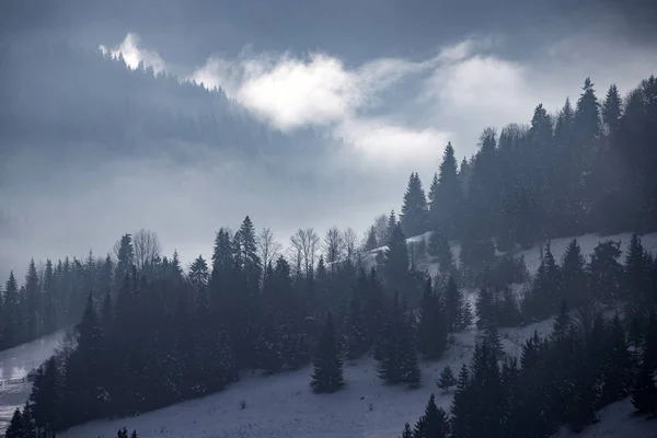 Winterwald in dramatischem Sonnenaufgang mit Nebel in den Karpaten, — Stockfoto