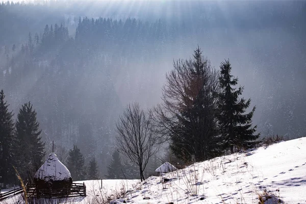 Winter bos in dramatische zonsopgang met mist in de Karpaten, R — Stockfoto