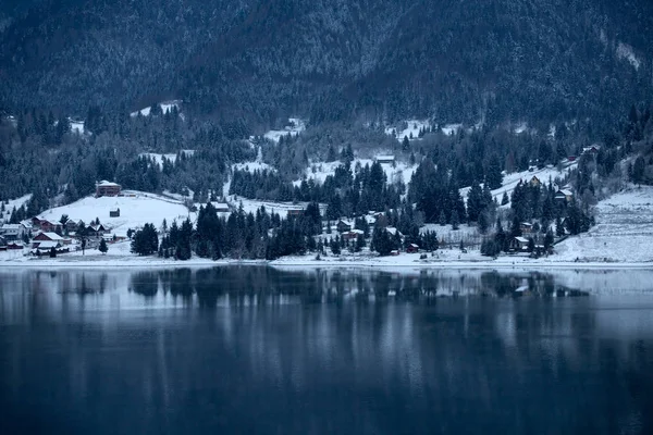 Zamarznięte jezioro i sosny w śniegu w Colibita. Rumunia wcześnie mo — Zdjęcie stockowe