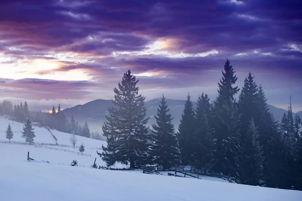 Dramatyczny różowy wschód słońca zimą zamarznięte góry. — Zdjęcie stockowe
