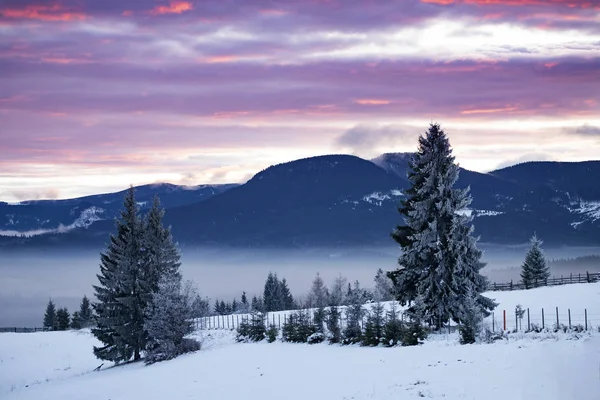 Dramatic pink sunrise in winter frozen mountains. — 스톡 사진