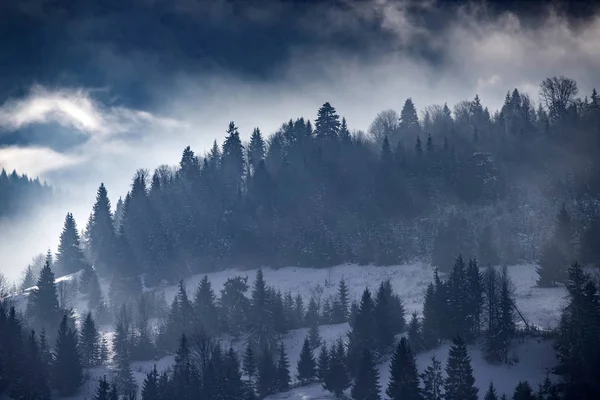 Vinterskog i dramatisk soluppgång med dimma i Karpaterna, R — Stockfoto