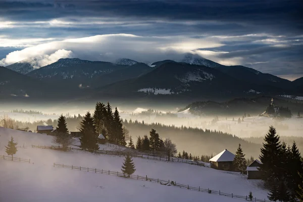 Winter forest in dramatic sunrise in the Carpathians, Romania. — Stock Photo, Image