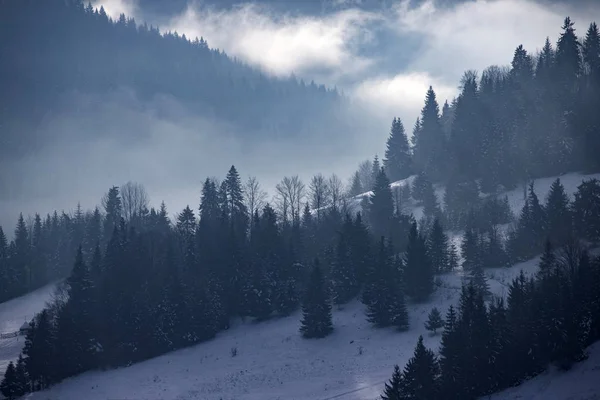 Forêt d'hiver au lever du soleil dramatique avec brouillard dans les Carpates, R — Photo