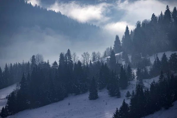 Bosque de invierno en dramático amanecer con niebla en los Cárpatos, R — Foto de Stock