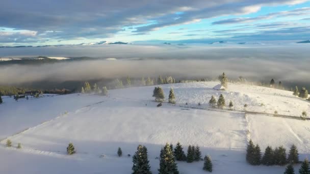 在美丽的冬季风景中飞翔 日出时分 树上长满了白雪 喀尔巴阡山脉罗马尼亚欧洲圣诞假期的概念 — 图库视频影像