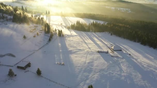 Létání Nad Fantastickou Zimní Krajinou Zasněženými Stromy Při Východu Slunce — Stock video