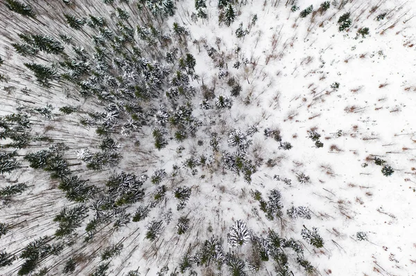 Vista aérea de drones de un paisaje invernal. Bosque cubierto de nieve . —  Fotos de Stock