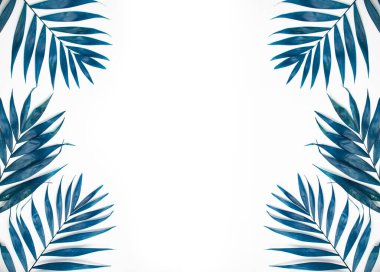 Beyaz arka planda renkli tropikal yapraklardan oluşan yaratıcı bir düzen. Kopya uzayı ile en az yaz egzotik konsepti. Sınır düzenlemesi.