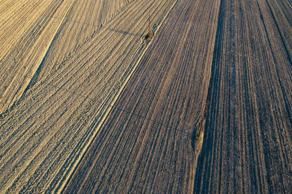 Veduta Aerea Drone Dei Campi Agricoli Primaverili Texture Astratta — Foto Stock