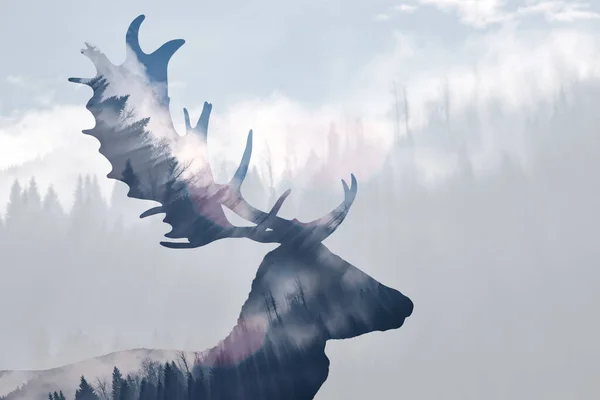 Double Exposure Reindeer Misty Pine Forest — Stock Photo, Image