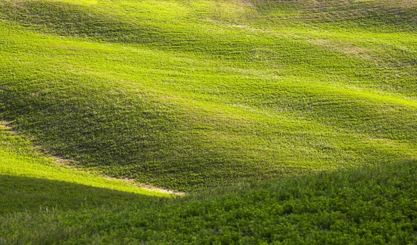 Зеленый Холм Травяного Поля Абстрактный Весенний Фон — стоковое фото