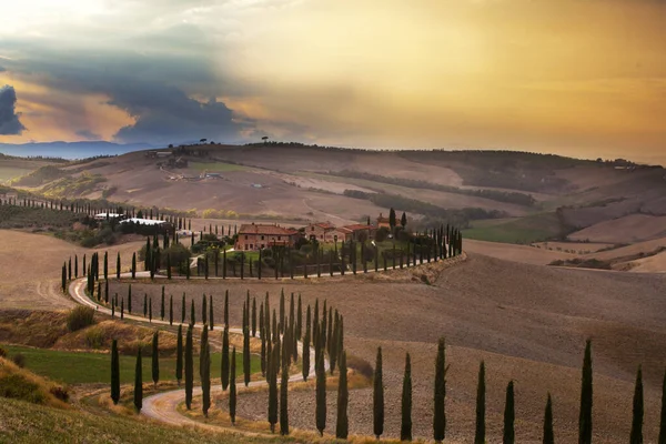 Красивый Тосканский Пейзаж Закате После Дождя Кипарисами Италия Европа — стоковое фото