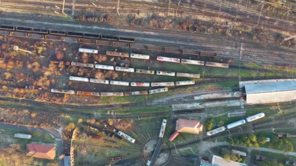 Luftbildaufnahmen Verschiedener Eisenbahnwaggons Mit Gütern Auf Dem Bahnhof — Stockvideo