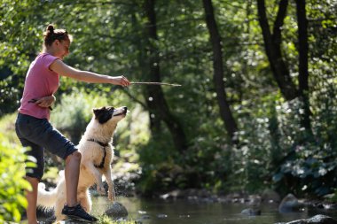 Genç bir kadın ormandaki sığ nehir suyunda köpeğiyle oynuyor..
