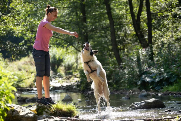 Young Woman Playing Her Dog Shallow River Water Woods — Stock Photo, Image