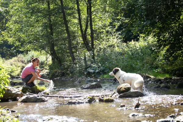 Young Woman Playing Her Dog Shallow River Water Woods — Stock Photo, Image