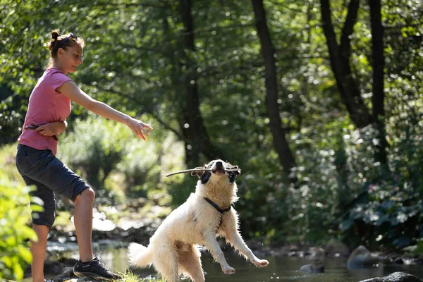 Young Woman Playing Her Dog Shallow River Water Woods — Stock Photo, Image