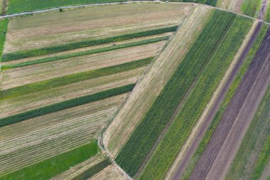 Uçan, uçsuz bucaksız otlaklar ve yeşil tarlaları ve çayırları olan tarım arazileri..