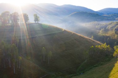 Transilvanya 'nın sonsuz yemyeşil otlaklarının havadan görünüşü. Zümrüt yeşili tarlaları ve çayırları olan güzel Romanya kırsalları. Gün doğumunda kırsal alan.