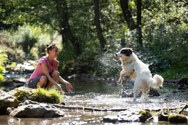 Young Woman Playing Her Dog Shallow River Water Woods — Stock Photo, Image