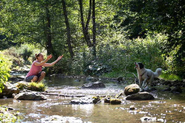 Junge Frau Spielt Mit Hund Flachen Flusswasser Wald — Stockfoto