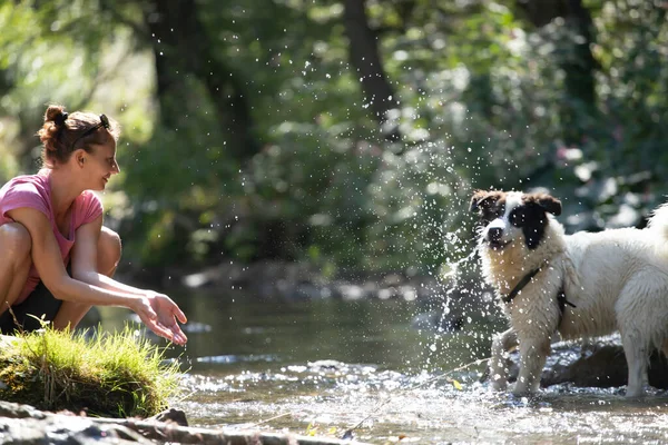 Young Woman Playing Her Dog Shallow River Water Woods — Stock Photo, Image