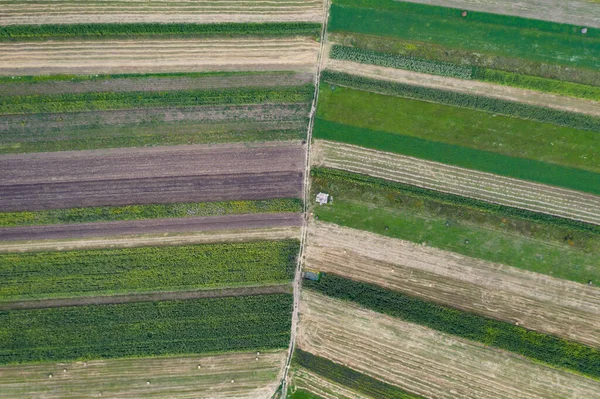 Luftaufnahme Von Endlosen Saftigen Weiden Und Äckern Mit Grünen Feldern — Stockfoto