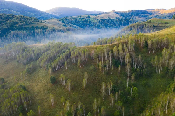 Вид Воздуха Бесконечные Пышные Пастбища Трансильвании Красивая Румынская Сельская Местность — стоковое фото