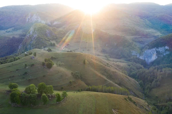 トランシルヴァニアの無限の緑豊かな牧草地の空中ビュー エメラルドグリーンのフィールドと牧草地と美しいルーマニアの田舎 日の出の田園風景 — ストック写真