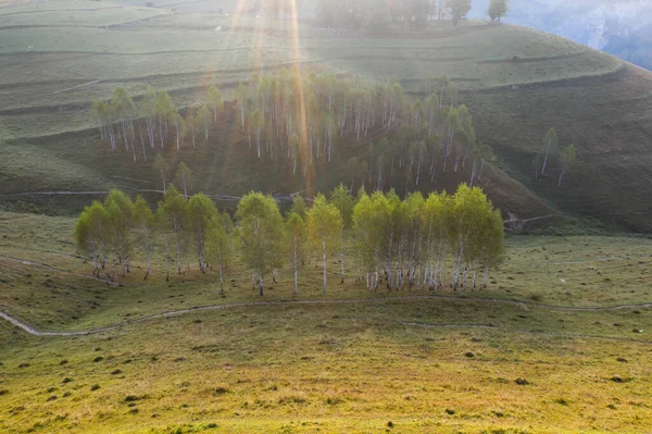 Vista Aérea Interminables Pastos Exuberantes Transilvania Hermosa Campiña Rumana Con —  Fotos de Stock