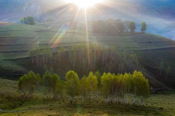 Luftaufnahme Der Endlosen Saftigen Weiden Siebenbürgens Schöne Rumänische Landschaft Mit — Stockfoto