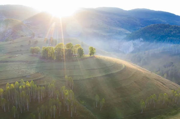 Luftaufnahme Der Endlosen Saftigen Weiden Siebenbürgens Schöne Rumänische Landschaft Mit — Stockfoto