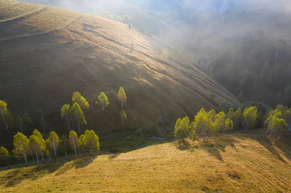 Aerial View Endless Lush Pastures Transylvania Beautiful Romanian Countryside Emerald — Stock Photo, Image