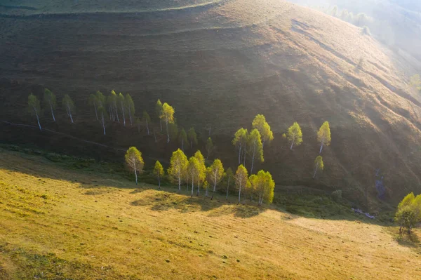 Вид Воздуха Бесконечные Пышные Пастбища Трансильвании Красивая Румынская Сельская Местность — стоковое фото